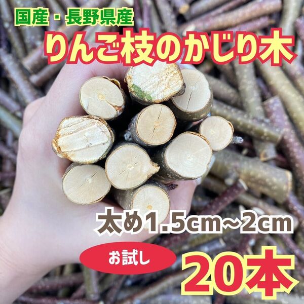 かじり木 りんごの枝 太め 20本