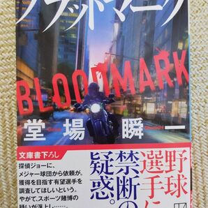 ブラッドマーク （講談社文庫　と５５－２５） 堂場瞬一／著 