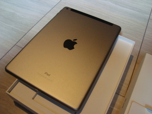 1 иен ~( очень красивый товар )[Apple no. 6 поколение iPad [Wi-Fi+Cellular] cell la- модель 32GB Space серый с ящиком ]+ дополнение [ глянец жидкокристаллический защитная плёнка ]