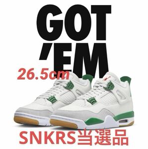 Nike SB × Air Jordan 4 