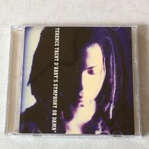 送料無料 国内盤 帯付 CD （ケースを新品に交換済）テレンストレントダービー TERENCE TRENT DARBYS / SYMPHONY OR DAMN_画像1