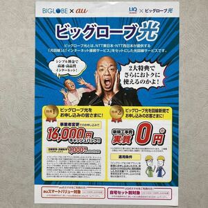 チラシ ビッグローブ光 BIGLOBE×au UQモバイル×ビッグローブ光 バイキング 小峠英二 西村瑞樹