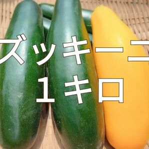 ズッキーニ◯西葫芦◯１キロ◯長崎県産