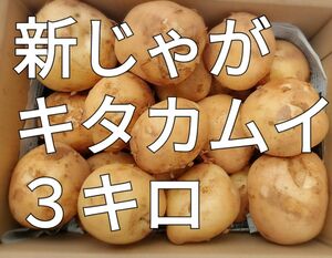 新じゃが◯キタカムイ◯３キロ◯長崎県産