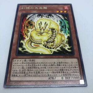 遊戯王 OCG INFINITE FORBIDDEN INFO-JP019 R 幻禄の天盃龍