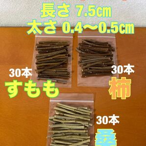 かじり木　小枝90本　すもも　甘柿　桑　0.4〜0.5㎝　山梨県産　無農薬　ハムスター