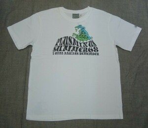 新品CHIEMSEE(キムジー) プラスマイナスメンズTシャツBASIC TEE BOYS SUMMER68 100 L