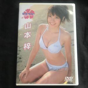 山本梓　アズベリー　DVD