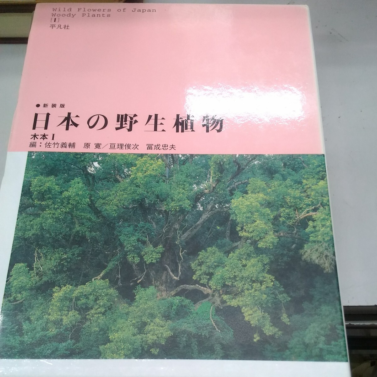 2025年最新】Yahoo!オークション -日本の野生植物の中古品・新品 2025年最新】Yahoo!オークション -日本の野生植物の中古品・新品