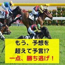 競馬【ワイド１点買い予想法】勝ち逃げて資金づくり『初心者は的中率80％、回収率130％から』期待以上の一点 馬券術★セール9800円→1880円_画像7