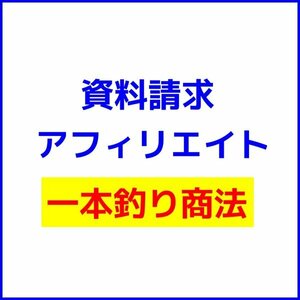 資料請求アフィリエイト！ライバルを利用する【悪魔no仕掛け！】月100万超えの猛者たちが隠す『裏技』保険 引っ越し★セール9800円→1680円