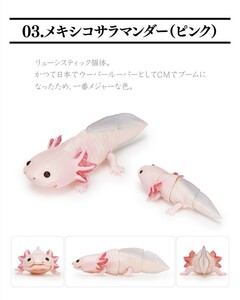 いきもの大図鑑 レプティ メキシコサラマンダー ウーパールーパー ピンク 両生類 動物 生物 フィギュア バンダイ BANDAI 新品未開封