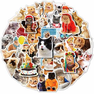 【ステッカー】全50枚・ねこ 猫 cat 三毛猫 ペルシャ ブリティッシュショートヘア ネコ メインクーン（送料無料！)