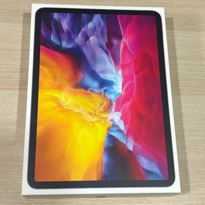 極美品iPadPro11inch 第2世代 128GB