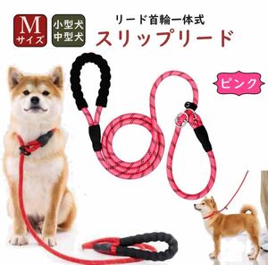  dog Lead slip Lead upbringing Lead is - chock necklace Lead necklace solid type necklace Lead set small size dog-lead medium sized red pink M size 