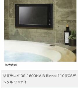  Rinnai bathroom tv DS-1600HV-B