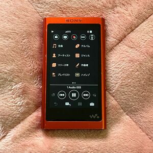 WALKMAN NW-A55HN R （トワイライトレッド） SONY