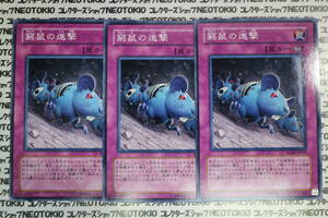 遊戯王 窮鼠の進撃(ノーマル RGBT)×3枚セット