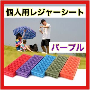 個人レジャーシート パープル 紫 収納袋つき 登山 アウトドア キャンプ 海水浴 海 散歩 ピクニック おしり痛くない