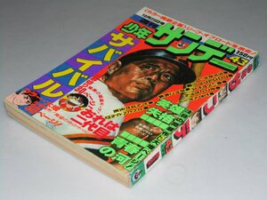 Glp_361050　週刊少年サンデー43 1977年10月23日号 第19巻 第47号　表紙絵.王選手.有賀一宇.画