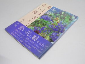 Glp_369222　永順・美しすぎて、青い花　高橋永順