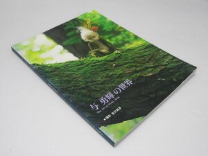 Glp_373467　与勇輝の世界　与勇輝.著/宮沢嘉彦.撮影