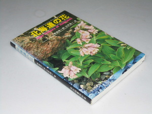 Glp_352737　北海道の花　鮫島惇一郎・辻井達一.著