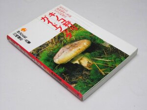 Glp_375364　キノコ狩りガイドブック　見分け方 採集場所と季節 グルメ料理　伊沢正名・川嶋健市.共著