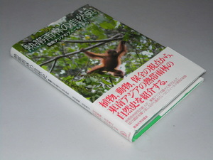 Glp_350192　熱帯雨林の自然史　東南アジアのフィールドから　安田雅俊・長田典之.他共著