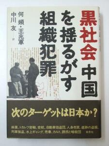 Glp_331738　黒社会中国を揺るがす犯罪組織　何頻・王兆軍/中川 友.訳