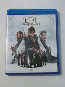 Kml_ZCZ327／ファンタスティック・ビーストと黒い魔法使いの誕生 （Blu-ray Disc）