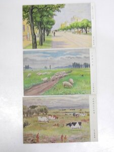 Glp_366479　北海道絵葉書　札幌アカシヤ並木街/月寒種羊場/附近の牧場の絵　早川國彦.筆