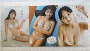 *book@... manga action other magazine appendix clear file 3 sheets *