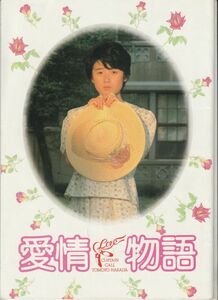 パンフ■1984年【愛情物語】[ B ランク ] 角川春樹 赤川次郎 今村力 あしながおじさん 原田知世 倍賞美津子 渡瀬恒彦 室田日出男