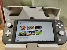 Nintendo Switch Lite 任天堂 ニンテンドースイッチ ライト グレー 動作品_画像3