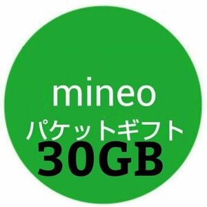 即日対応 マイネオ(mineo)パケットギフト 30GB 30000MB 