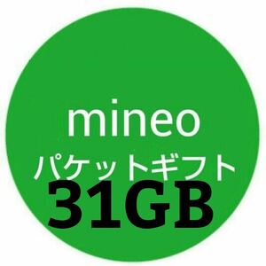 即日対応 マイネオ(mineo)パケットギフト 31GB 31000MB 