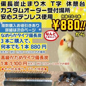 インコ止まり木 太さ約2.5cm～3.0cm 備長炭止まり木 バードトイの画像4