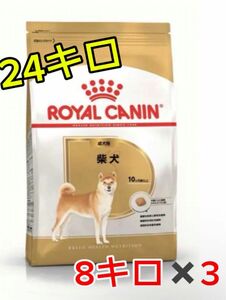 ロイヤルカナン　柴犬成犬用　24キロ　