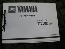 (KAM）コンペ　TY250R　（38V　1LW）パーツリスト_画像1