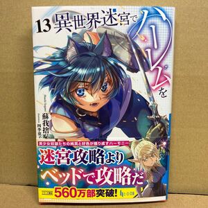 ★最新 異世界迷宮でハーレームを (１３) 送料￥185 著:蘇我捨恥 イラスト:四季童子 ヒーロー文庫