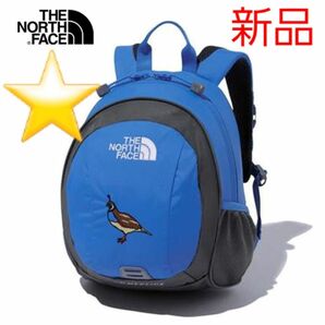 ★新品★ THE NORTH FACE ホームスライス NMJ72361 SC