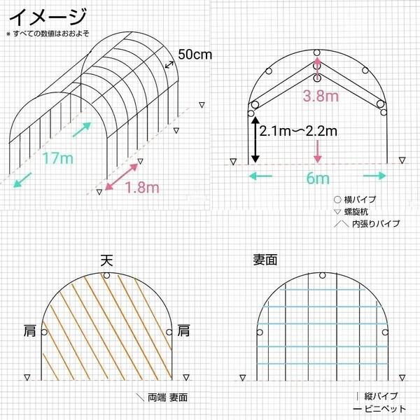 ビニールハウス 背高 φ25 6m x 15m パイプハウス ハウス メダカ 家庭菜園 植物 観葉植物 鯉 錦鯉 金魚 魚 温室 飼育 菜園 小屋 