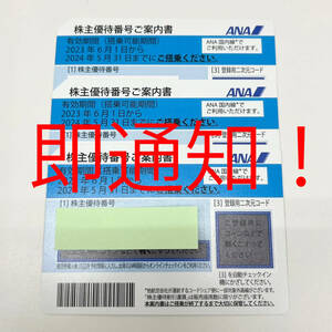 即通知 送料無料 ANA 株主優待券 1枚 2024年5月31日まで