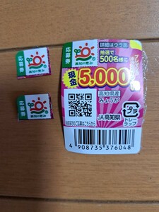 懸賞 応募★3枚★高知県産★みょうが★現金5000円プレゼントキャンペーン★応募券★JA高知県★8/31〆切★1口分