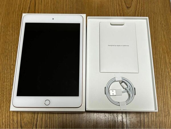 【極美品】iPad mini 第5世代 64GB