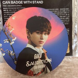&TEAM andTEAM &AUDITION GAKU ガク 缶バッジ