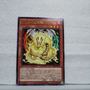 新品・未使用 即決 遊戯王 幻禄の天盃龍 ②