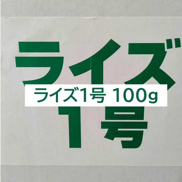 日清丸紅飼料 ライズ1号 100g メダカ 熱帯魚 金魚 グッピー ※送料無料※