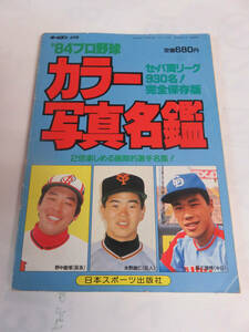 【昭和レトロ】'84プロ野球　カラー写真名鑑　日本スポーツ出版社　セ・パ両リーグ930名　完全保存版　野中徹博/水野雄仁/藤王康晴